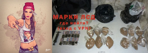 стафф Кодинск