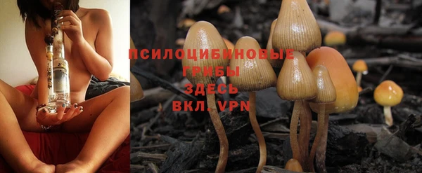 стафф Кодинск