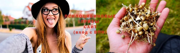 спайс Козловка