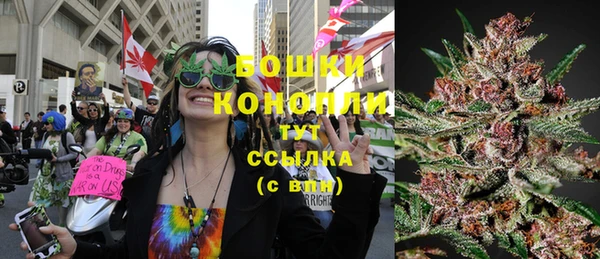 стафф Кодинск