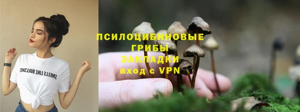 прущие крисы Козельск