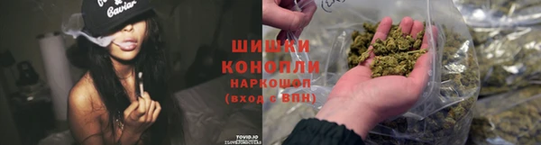 прущие крисы Козельск