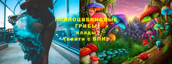 прущие крисы Козельск