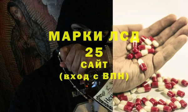 стафф Кодинск