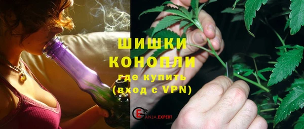 стафф Кодинск