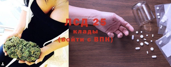 стафф Кодинск