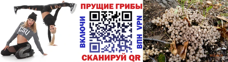 Галлюциногенные грибы ЛСД  мега вход  Городище 